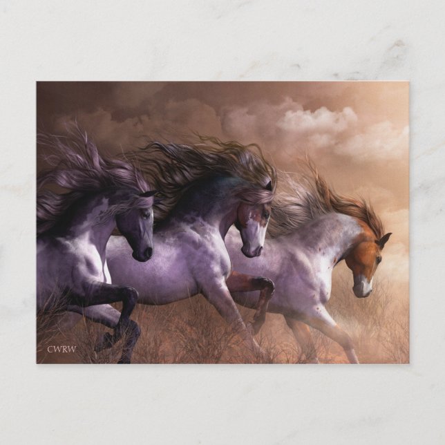 Postales de Run to Freedom (Anverso)