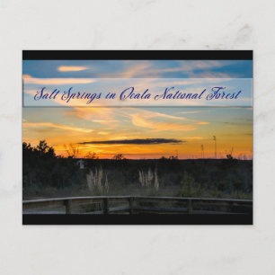 Postales de Salt Springs