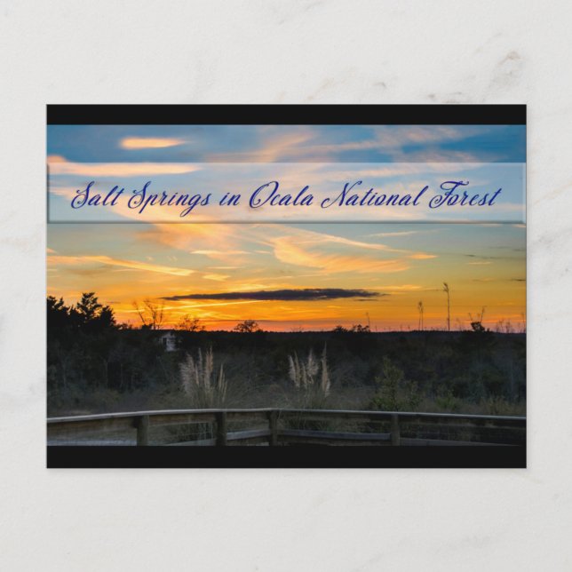 Postales de Salt Springs (Anverso)