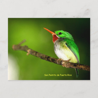 Postales de San Pedrito de Puerto Rico