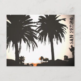 Postales de San Pedro Royal Palms