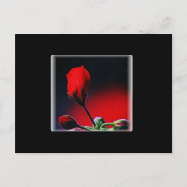 Postales de San Valentín de flores rojas (Anverso)