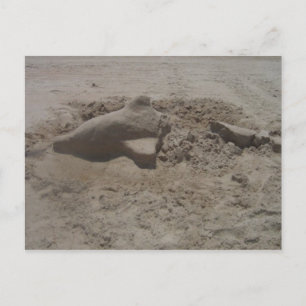 Postales de Sandcastle con delfín aplastado