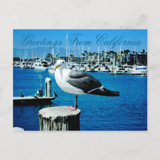 Postales de Seagull Shores de California
