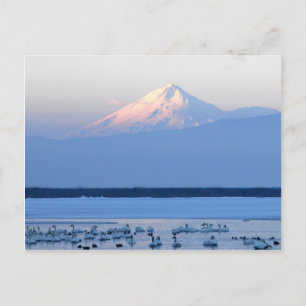 Postales de Shasta California
