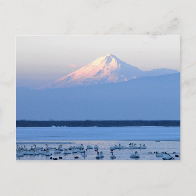 Postales de Shasta California (Anverso)