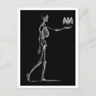 Postales de Skeleton y Bat