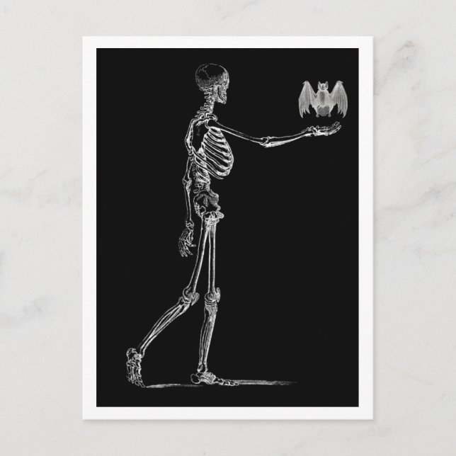 Postales de Skeleton y Bat (Anverso)