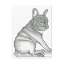 Postales de sketch de Bulldog francés