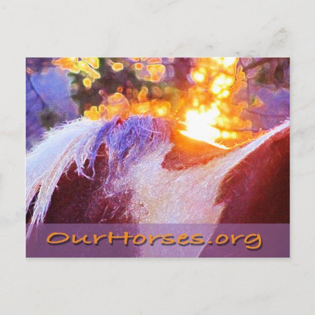 Postales de Sofi (Anverso)