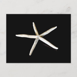 Postales de Starfish