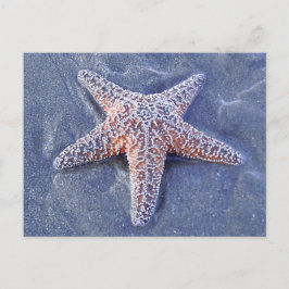 Postales de Starfish