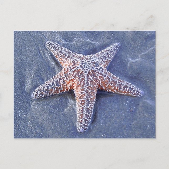 Postales de Starfish (Anverso)