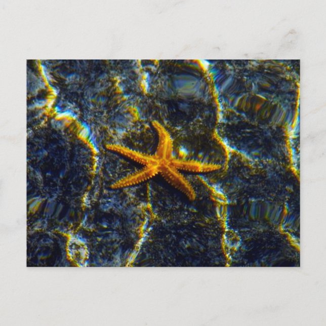 Postales de Starfish (Anverso)