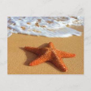 Postales de Starfish
