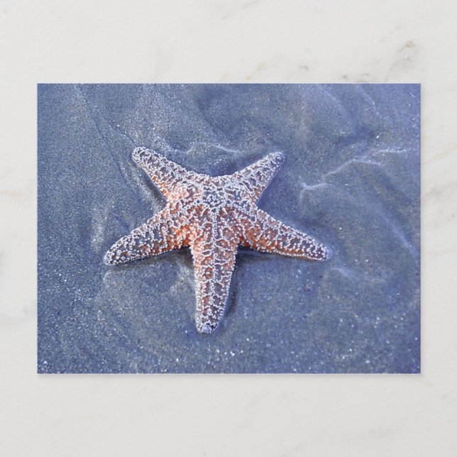 Postales de Starfish (Anverso)