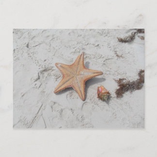 Postales de Starfish de Beau Bahamas