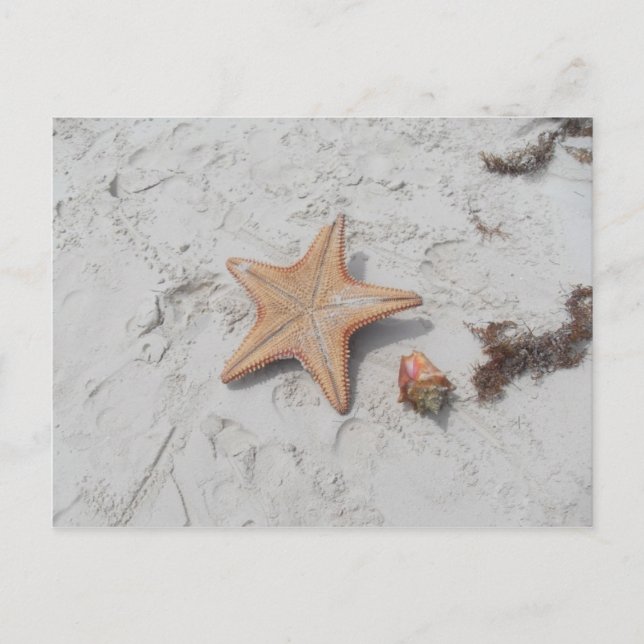 Postales de Starfish de Beau Bahamas (Anverso)