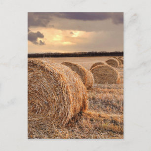 Postales de Straw Bales