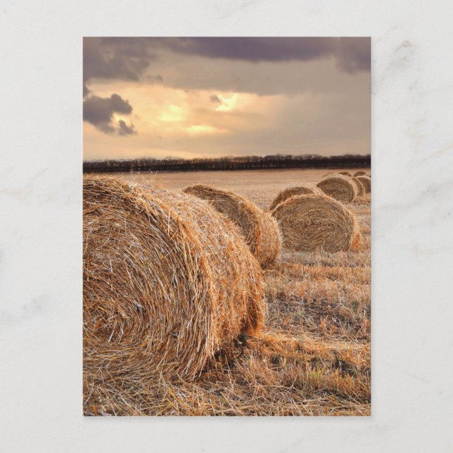 Postales de Straw Bales (Anverso)