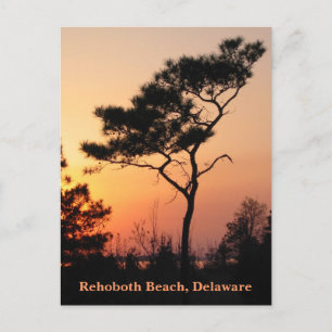 Postales de Sunset Rehoboth