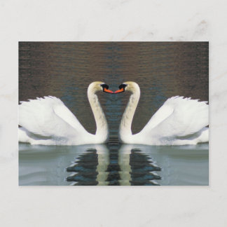 Postales de Swan Heart