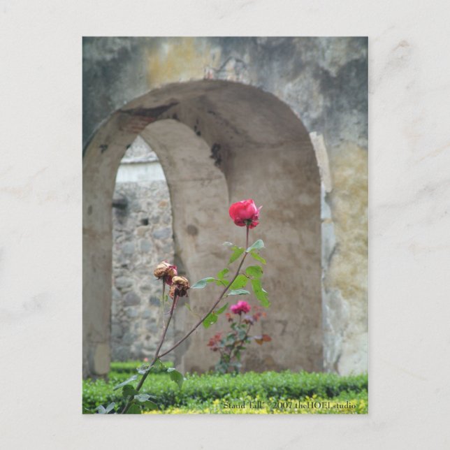 Postales de talla base (Anverso)