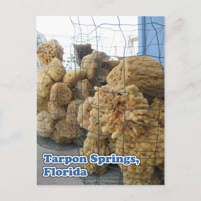 Postales de Tarpon Springs (Anverso)