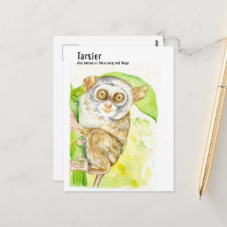 Postales de Tarsier-DNM