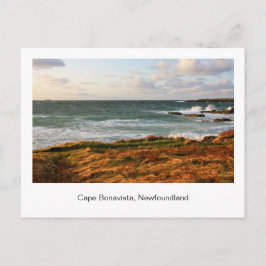 Postales de Terranova
