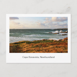 Postales de Terranova