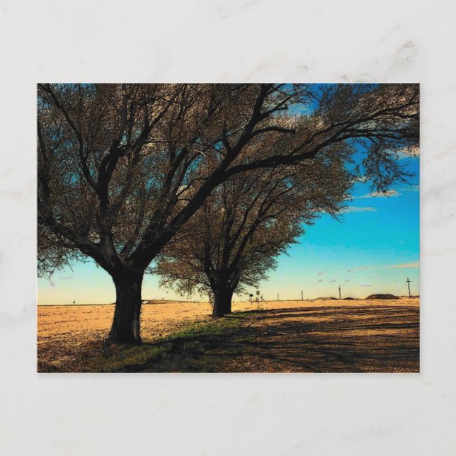 Postales de Texas (Anverso)