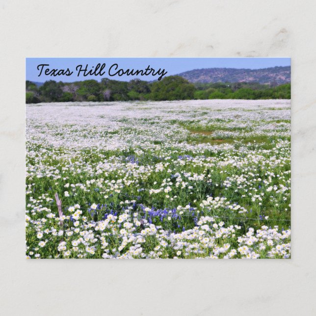 Postales de Texas Hill Country (Anverso)