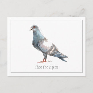 Postales de 'Theo The Pigeon'