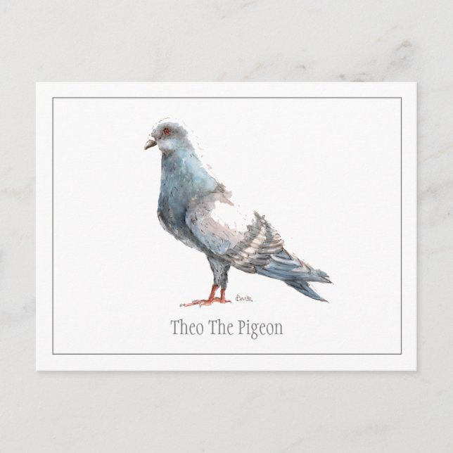 Postales de 'Theo The Pigeon' (Anverso)
