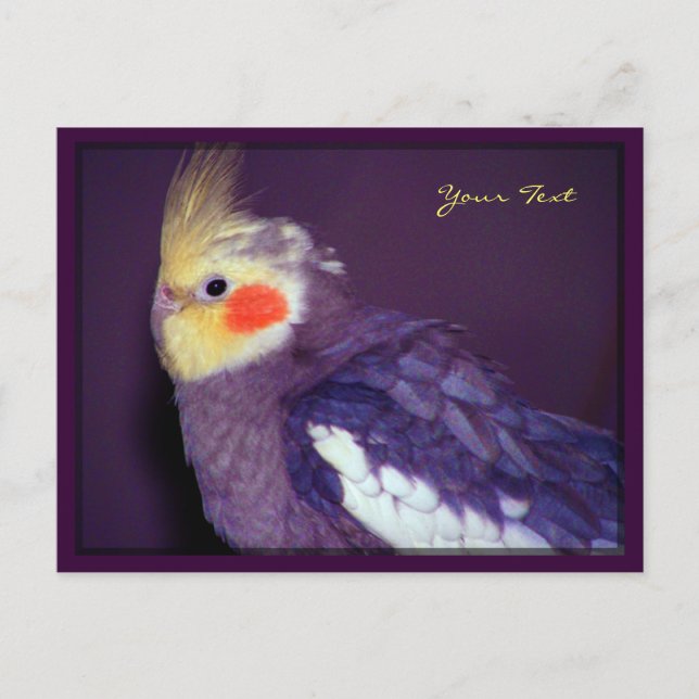 Postales de tiel (Anverso)