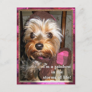 Postales de tormentas de vida