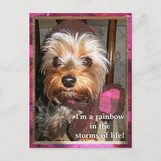 Postales de tormentas de vida (Anverso)