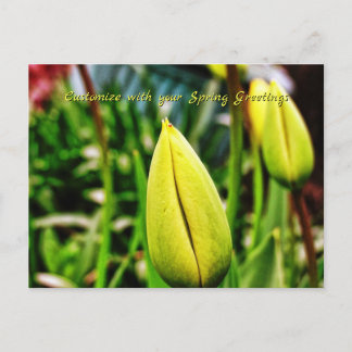 Postales de tulipanes amarillos de saludo de prima