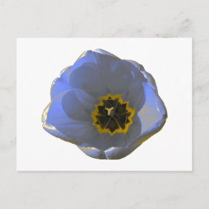 Postales de tulipanes azules y amarillos