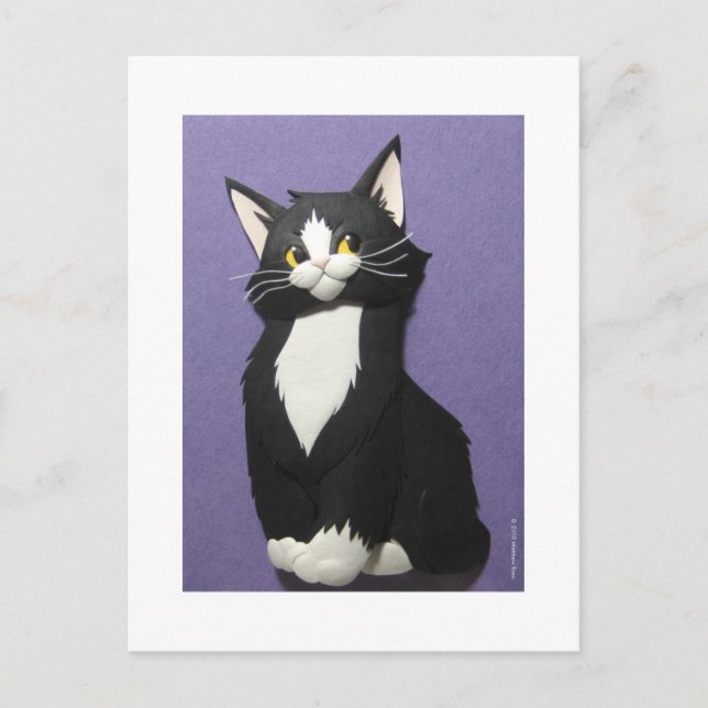Postales de Tuxedo Kitten (Anverso)