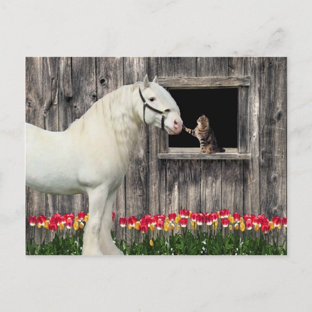 Postales de "Una Mañana de Primavera" (Anverso)