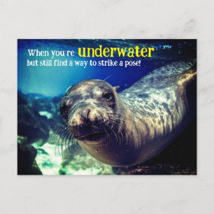 Postales de vacaciones