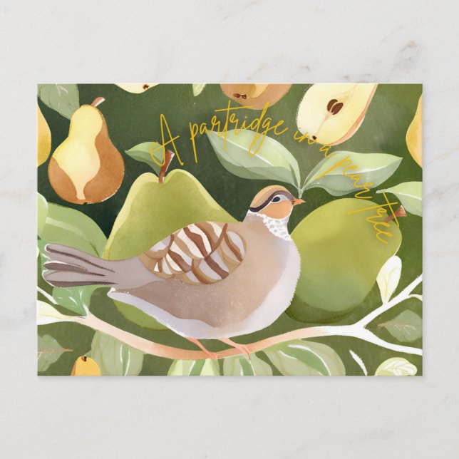 Postales de vacaciones (Anverso)