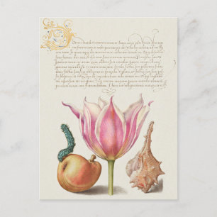 Postales de vacaciones de Ilustracion botánico vin