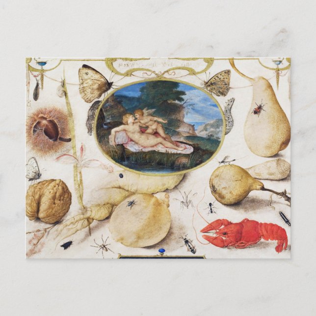 Postales de vacaciones de Ilustracion botánico vin (Anverso)