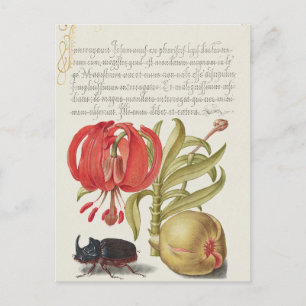 Postales de vacaciones de Ilustracion botánico vin