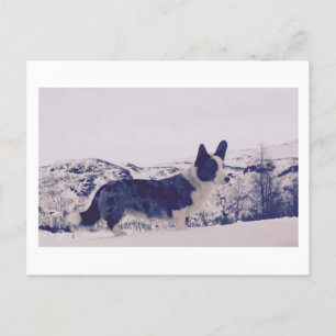 Postales de vacaciones de perro en la nieve