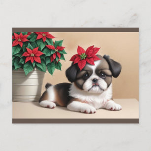 Postales de vacaciones de Shih Tzu