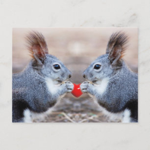 Postales de Valentine Squirrels